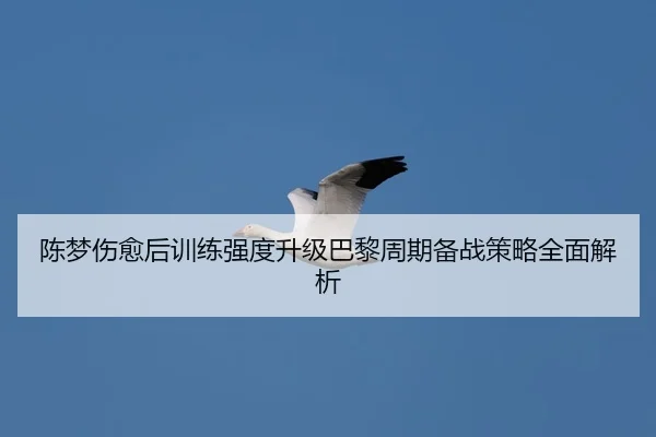 陈梦伤愈后训练强度升级巴黎周期备战策略全面解析